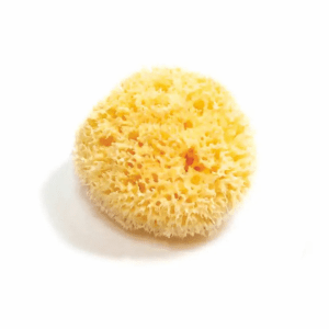 Organic Natural Sea Sponge