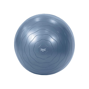 Everlast Exercise Ball Gray 65 cm